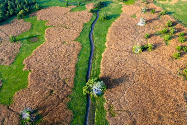 Vista Aérea Rit Kopaki Primavera Antes Das Inundações Croácia — Fotografia de Stock