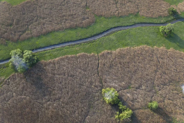 Vista Aérea Rit Kopaki Primavera Antes Das Inundações Croácia — Fotografia de Stock