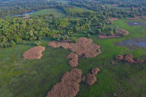 Vista Aérea Rit Kopaki Primavera Antes Das Inundações Croácia — Fotografia de Stock