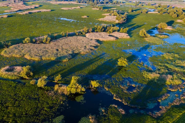 Vista Aérea Rit Kopaki Primavera Antes Das Inundações Croácia — Fotografia de Stock