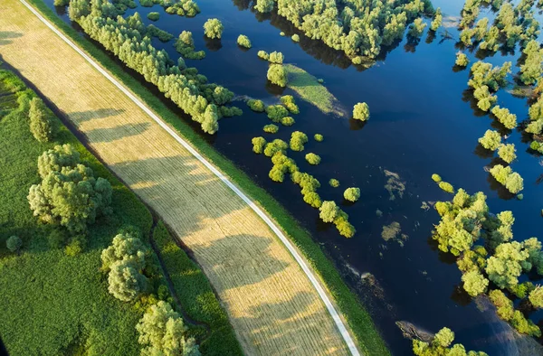 Aerial View Dike Danube Its Floodplain Kopacki Rit Nature Park — Stock Photo, Image