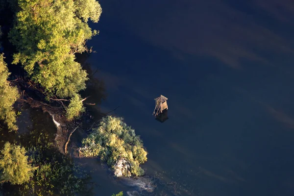Vista Aérea Dos Juncos Salgueiros Durante Inundação Kopacki Rit Nature — Fotografia de Stock