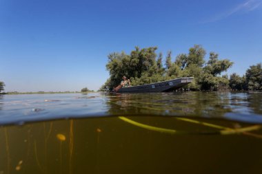 Kopacki rit 'in sualtı manzarası, Tuna Nehri' nin taşkın ovası