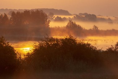 Hırvatistan 'ın bataklıklarında gün doğumu, Kopacki rit