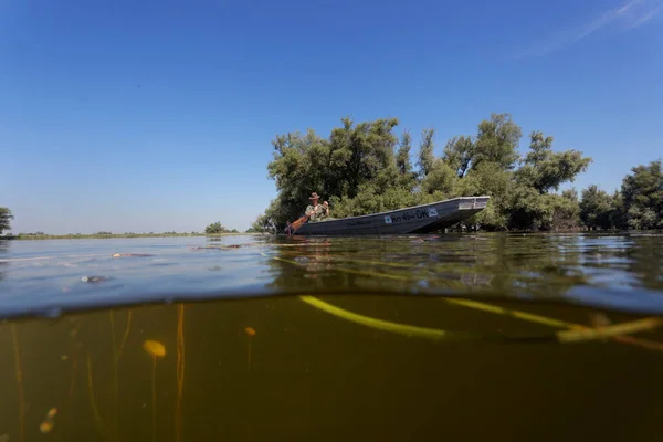 Vista Submarina Ribera Kopacki Llanura Inundable Del Río Danubio — Foto de Stock