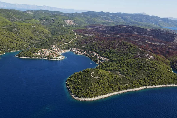 韓国島 クロアチア アドリア海の焼畑林 — ストック写真