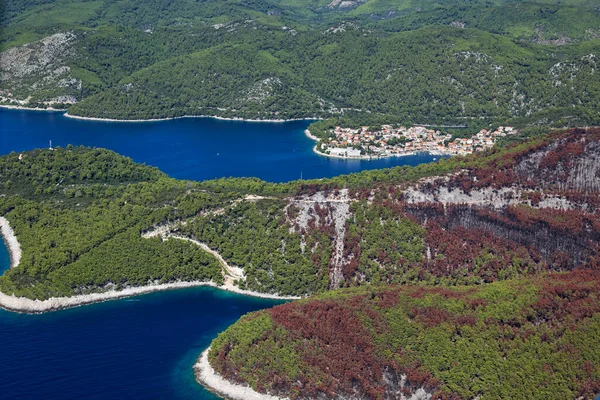 Floresta Queimada Ilha Korcula Croácia Mar Adriático — Fotografia de Stock