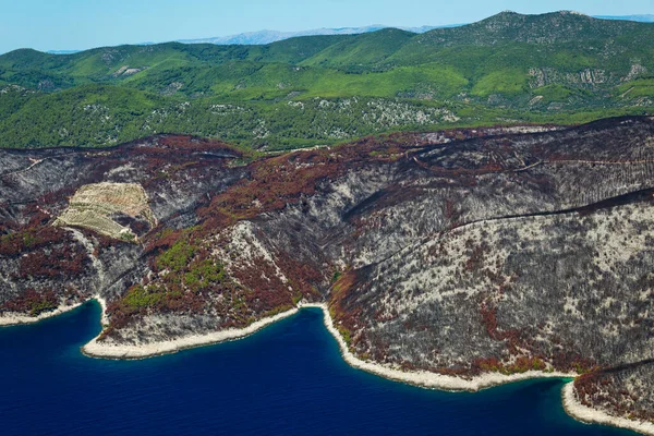 Floresta Queimada Ilha Korcula Croácia Mar Adriático — Fotografia de Stock