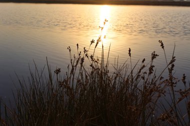 Arnavutluk kıyısındaki Adriyatik deniz plajında gün batımı