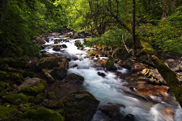 Rivière Garska Reka Dans Parc National Mavrovo Macédoine — Photo