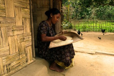 Woman preparing rice for a meal in front of her hut, the countryside of Andaman islands, India