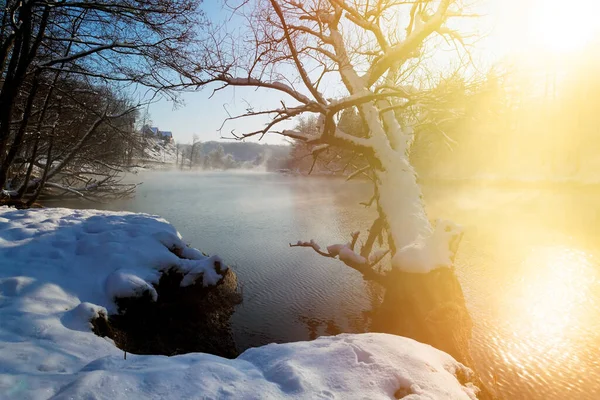 Winter sunrise with a mist on the river with snow, the Dobra River, Croatia