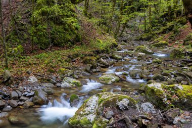 İlkbaharda akıntılı Zeleni Vir deresi