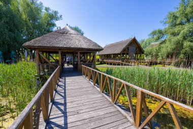 Ziyaretçi Merkezi, Kopaki rit Doğa Parkı, Hırvatistan 'da tahta kaldırım