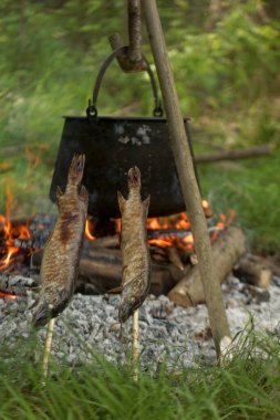 Açık ateşte balık yahnisi, Kopaevo, Hırvatistan