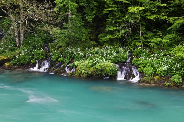 Die Neretva Einer Schlucht Bosnien Und Herzegowina — Stockfoto