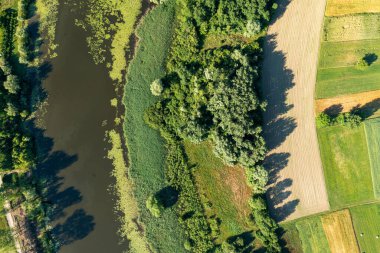 Hırvatistan 'ın Drava Nehri' nin öküz kuşağı gölünün hava manzarası
