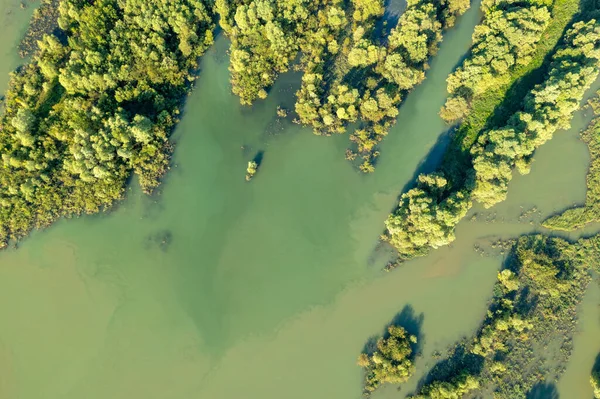 Drava Nehri Nin Taşkın Ovasında Doğal Sel — Stok fotoğraf
