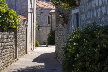 Hırvatistan 'da Adriyatik Denizi' nde yaygın şişe burunlu yunus yüzeyi