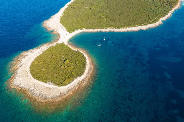 Costa Rocciosa Con Pini Dugi Otok Croazia — Foto Stock