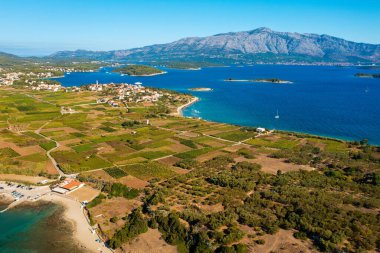 Hırvatistan 'ın Adriyatik Denizi kıyısındaki Korcula Adası' ndaki Lumbar kasabası yakınlarındaki plaj ve tarlaların hava manzarası
