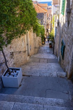 Hırvatistan 'ın eski Hvar kentinde turistler