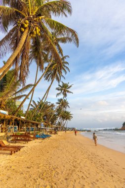 Öğleden sonra Sri Lanka 'da, Mirissa' da kumsaldaki insanlar.