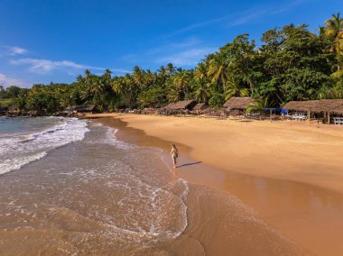 Thatched Beach Huts, Goyambokka Beach, Sri Lanka Sahili ile Altın Kum Sahilinde Yürüyen Genç Kadın