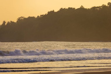 Sandy Talalla Plajı Altın Akşam Işığı, Sri Lanka