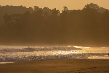 Sandy Talalla Plajı Altın Akşam Işığı, Sri Lanka