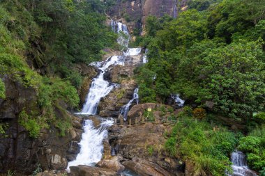 Ravana Ella Şelalesi Yeşil Orman 'da Şelale Şelalesi, Sri Lanka
