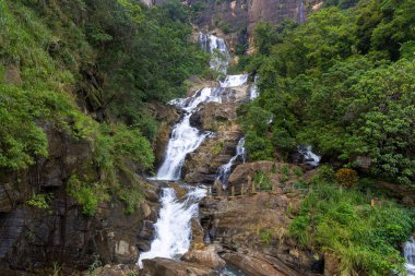 Ravana Ella Şelalesi Yeşil Orman 'da Şelale Şelalesi, Sri Lanka
