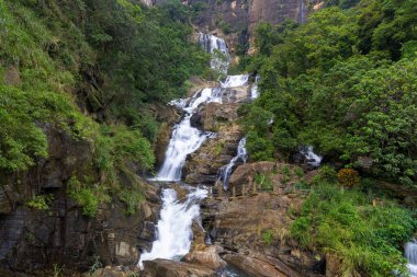 Ravana Ella Şelalesi Yeşil Orman 'da Şelale Şelalesi, Sri Lanka