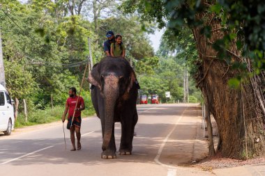 Sigirya, Sri Lanka 'da Fili Süren Turistler