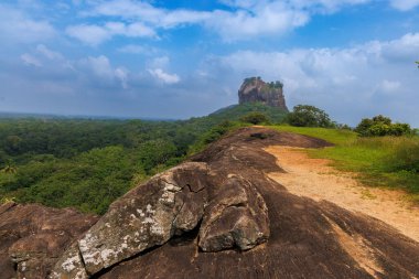 Sigirya Kaya Kalesi yakınlarındaki yemyeşil orman manzarası, Sri Lanka