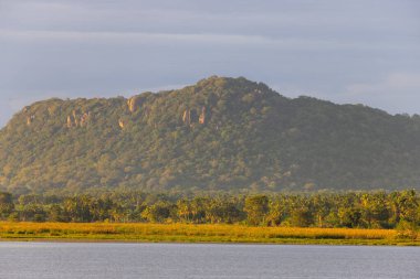 Altın Saatteki Palmiye Ağaçlarıyla çevrili Tropik Göl, Tissamaharama, Sri Lanka