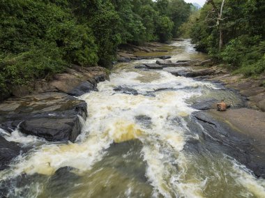 Vahşi Nehir 'in Gök Manzarası Yeşillik Tropikal Yağmur Ormanları, Sinharaja, Sri Lanka