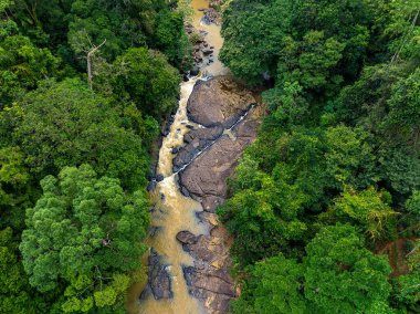 Aerial View of Wild River Flowing Through Lush Tropical Rainforest, Sinharaja, Sri Lanka
