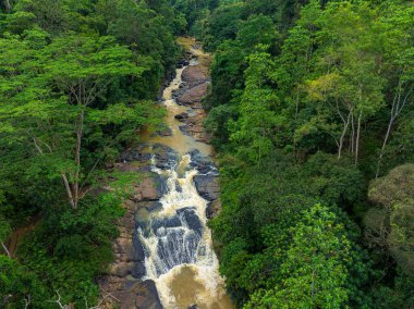 Vahşi Nehir 'in Gök Manzarası Yeşillik Tropikal Yağmur Ormanları, Sinharaja, Sri Lanka