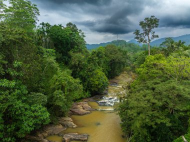Vahşi Nehir 'in Gök Manzarası Yeşillik Tropikal Yağmur Ormanları, Sinharaja, Sri Lanka