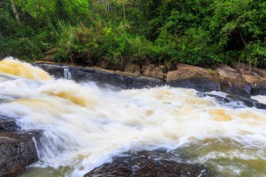 Wild River Rapids Flowing Over Rocky Riverbed in Sinharaja Rainforest, Sri Lanka