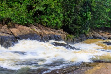 Sinharaja Yağmur Ormanı, Sri Lanka 'da Vahşi Nehir Akıntısı Kayalık Nehir yatağı