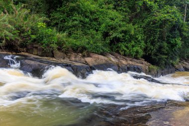 Sinharaja Yağmur Ormanı, Sri Lanka 'da Vahşi Nehir Akıntısı Kayalık Nehir yatağı