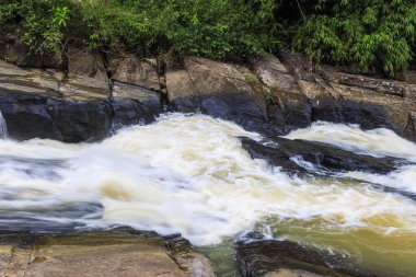 Wild River Rapids Flowing Over Rocky Riverbed in Sinharaja Rainforest, Sri Lanka