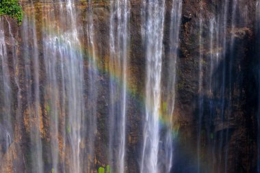 Tumpak Sewu Şelalesinin Gökkuşağı Yosun Tepesi, Endonezya