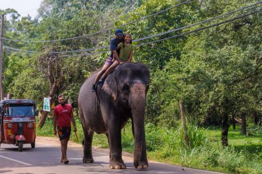 Sigirya, Sri Lanka 'da Fili Süren Turistler