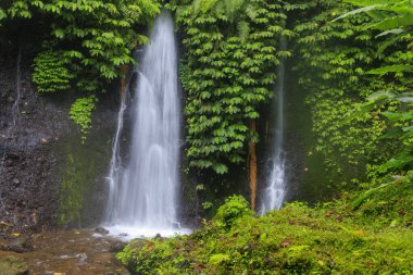 Bali 'deki Banyumala Şelalesi, Endonezya Etrafı bereketli tropikal ormanlarla çevrili