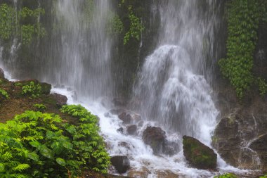 Banyu Wana Amertha Şelalesi Sis, Bali, Endonezya 'daki gür tropik ormanlarda akıyor.