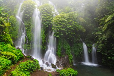 Banyu Wana Amertha Şelalesi Sis, Bali, Endonezya 'daki gür tropik ormanlarda akıyor.