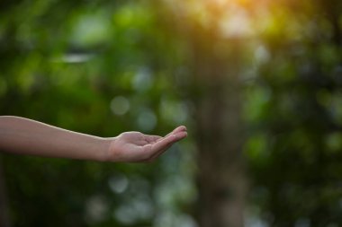 Çevre simgeleriyle el ele tutuşan teknoloji, yeşil arkaplanda Ağ bağlantısı üzerinden.